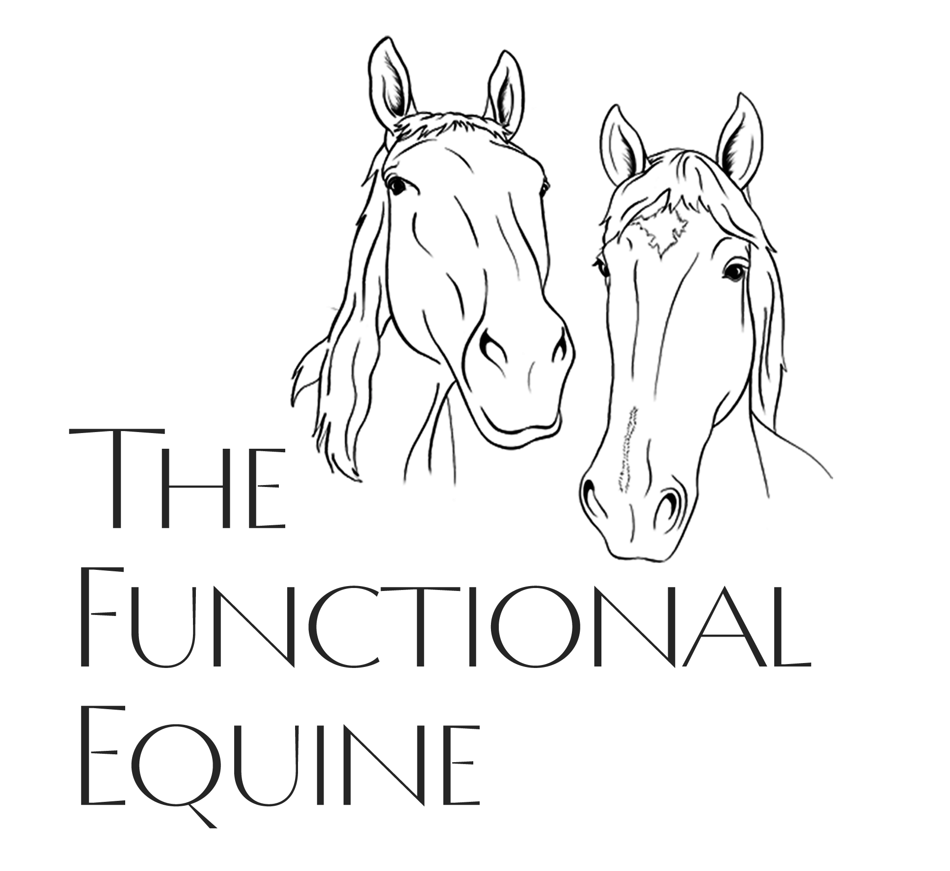 The Functional Equine